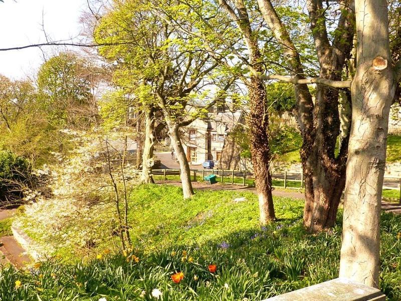 Bed and Breakfast Castle Vale House Berwick Upon Tweed Exteriér fotografie